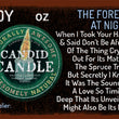 Load image into Gallery viewer, Forest at Night Scented Soy Wax Candle