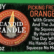 Load image into Gallery viewer, Picking Fresh Oranges Scented Soy Wax Candle