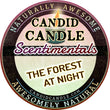 Load image into Gallery viewer, Forest at Night Scented Soy Wax Candle