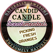 Load image into Gallery viewer, Picking Fresh Oranges Scented Soy Wax Candle