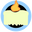 Candid Candle