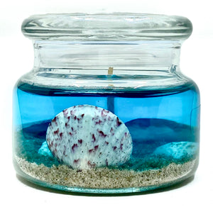 Seashell Seascape Scented Candle