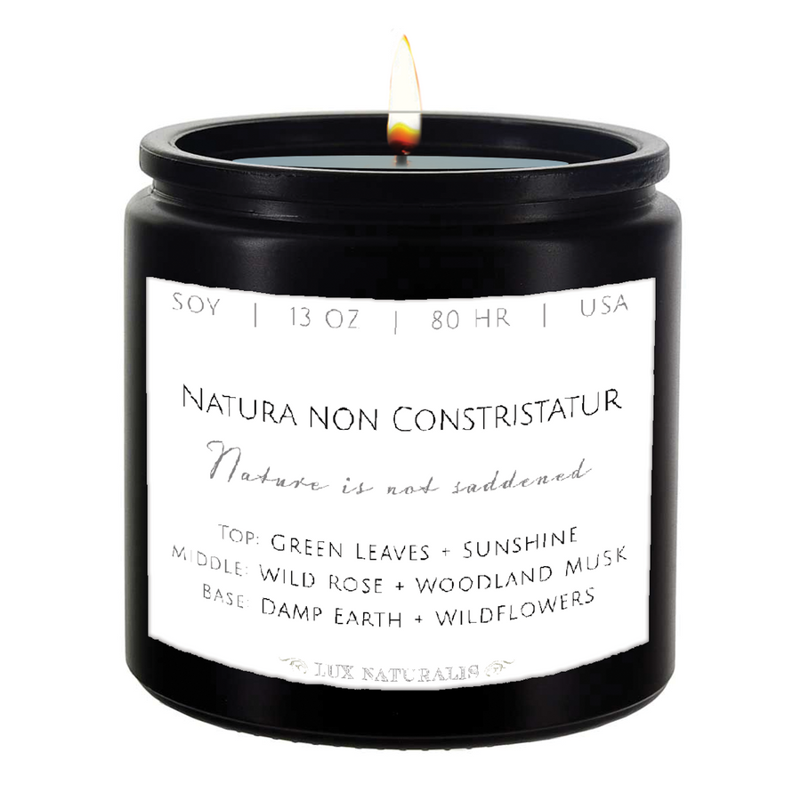 Natura Non 13-Ounce Scented Soy Candle