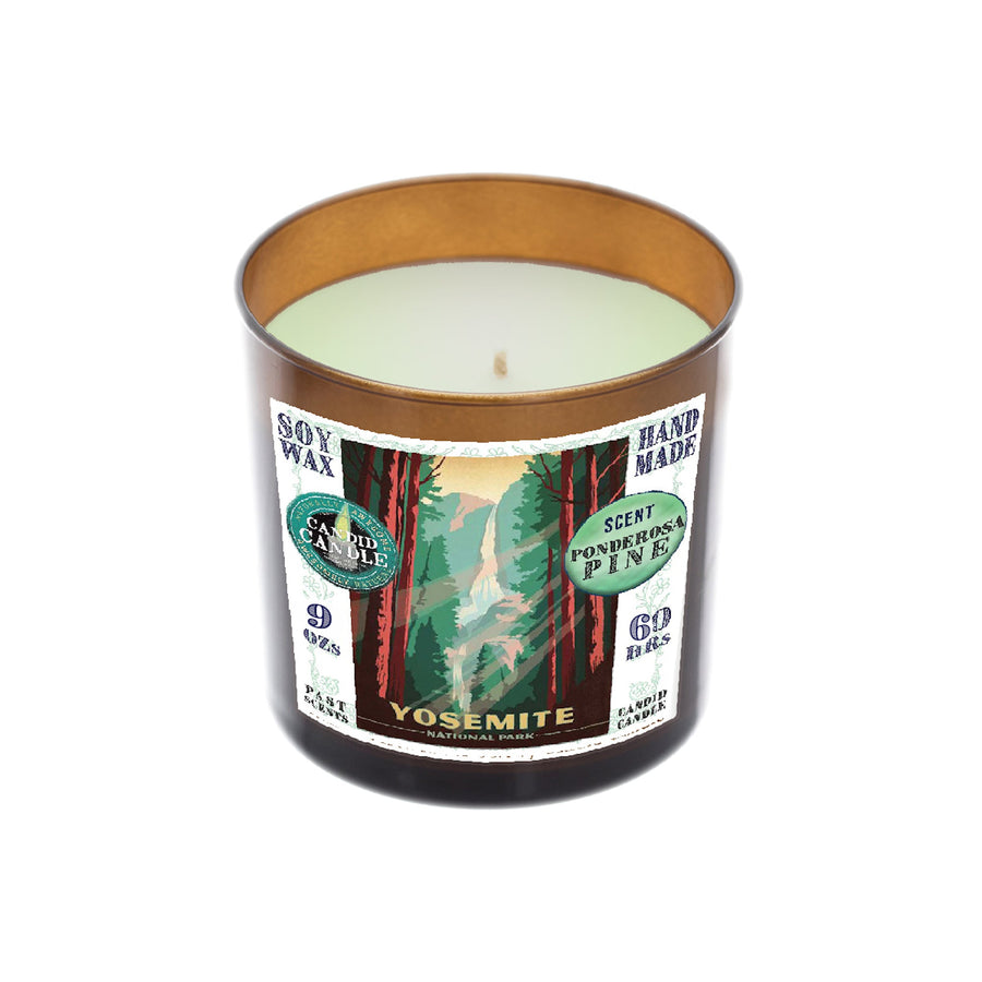 Ponderosa Pine Jar 9-Ounce Scented Soy Candle