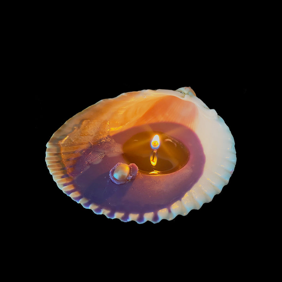 Real Seashell Scented Candle
