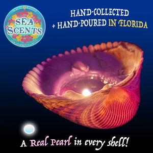 Real Seashell Scented Candle
