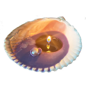 Real Seashell Scented Candle