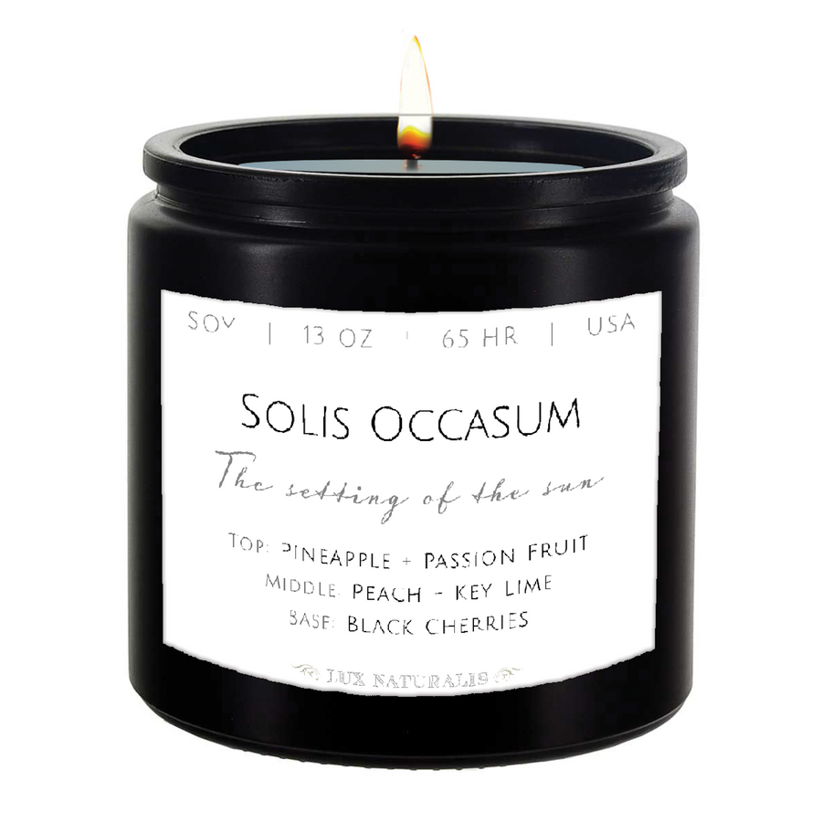 Solis 13-Ounce Scented Soy Candle